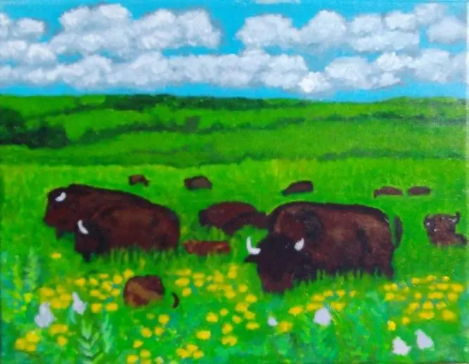 Bison herd grazing in vibrant wildflower meadow