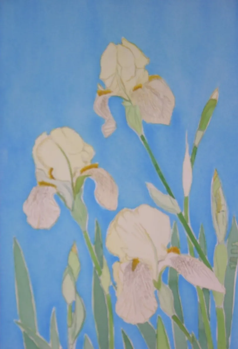 Watercolor pale irises on blue background