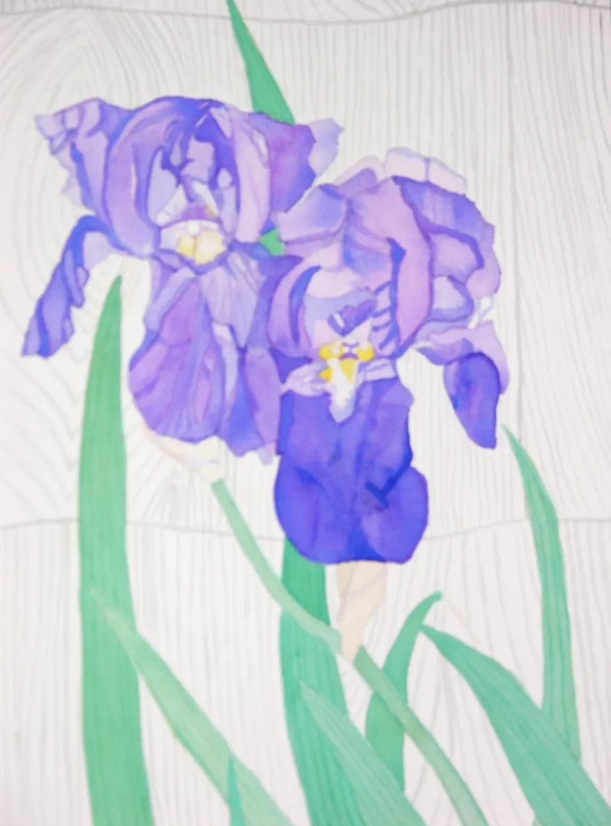 Watercolor painting of purple iris flowers