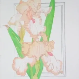 Peach iris bouquet in blue vase