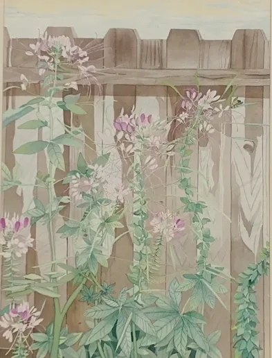 Pink wildflowers growing against wooden fence