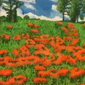 Field of red poppies under blue sky