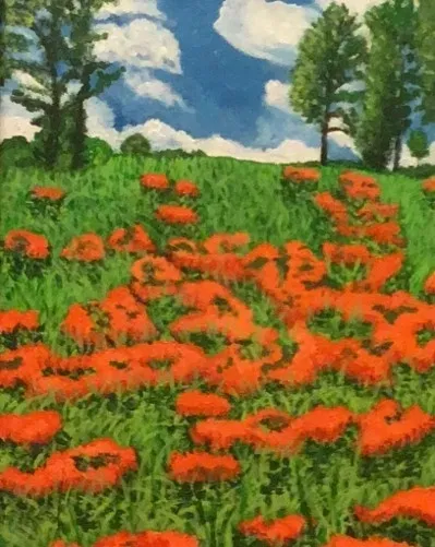 Field of red poppies under blue sky