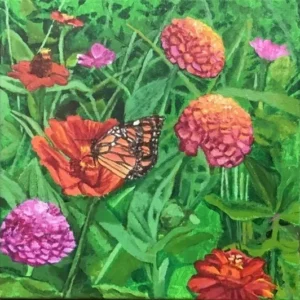 Monarch butterfly perched on vibrant zinnia blossoms