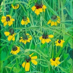 Yellow wildflowers with dark centers in green foliage