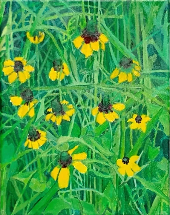 Yellow wildflowers with dark centers in green foliage
