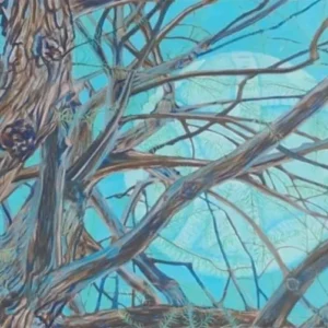 Stylized tree branches against bright blue sky
