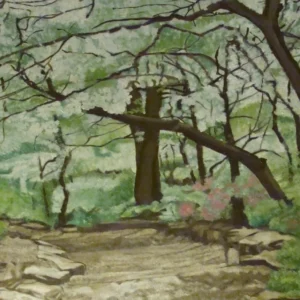 Wooded forest path with large central tree